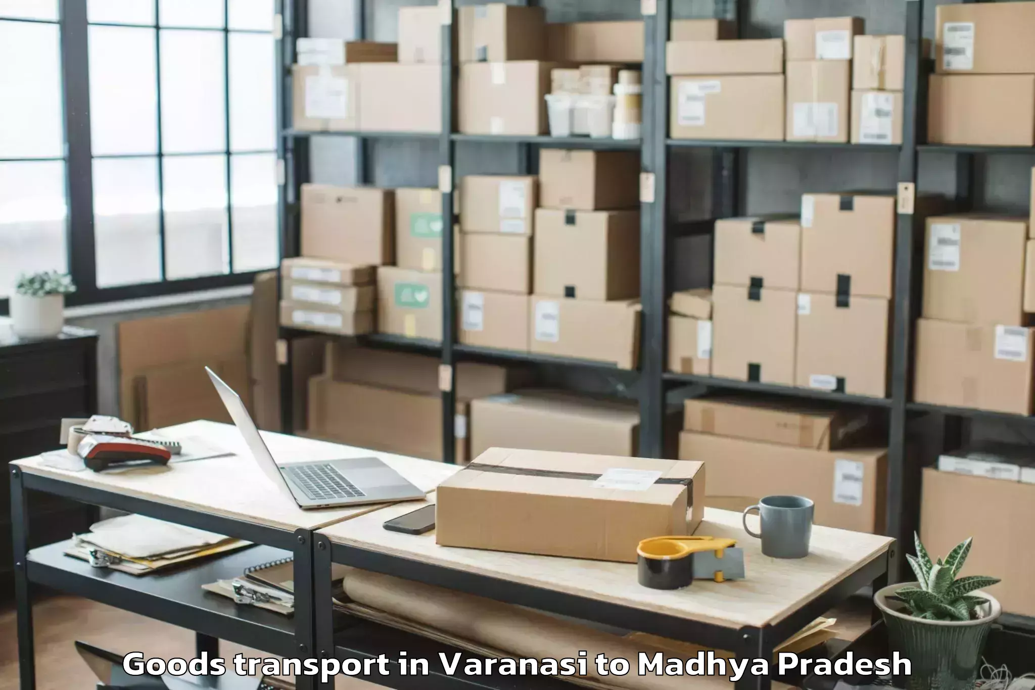 Professional Varanasi to Sanwer Goods Transport